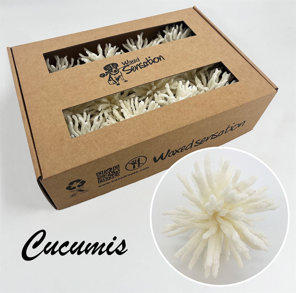Ov Colrbehandeld 20cm