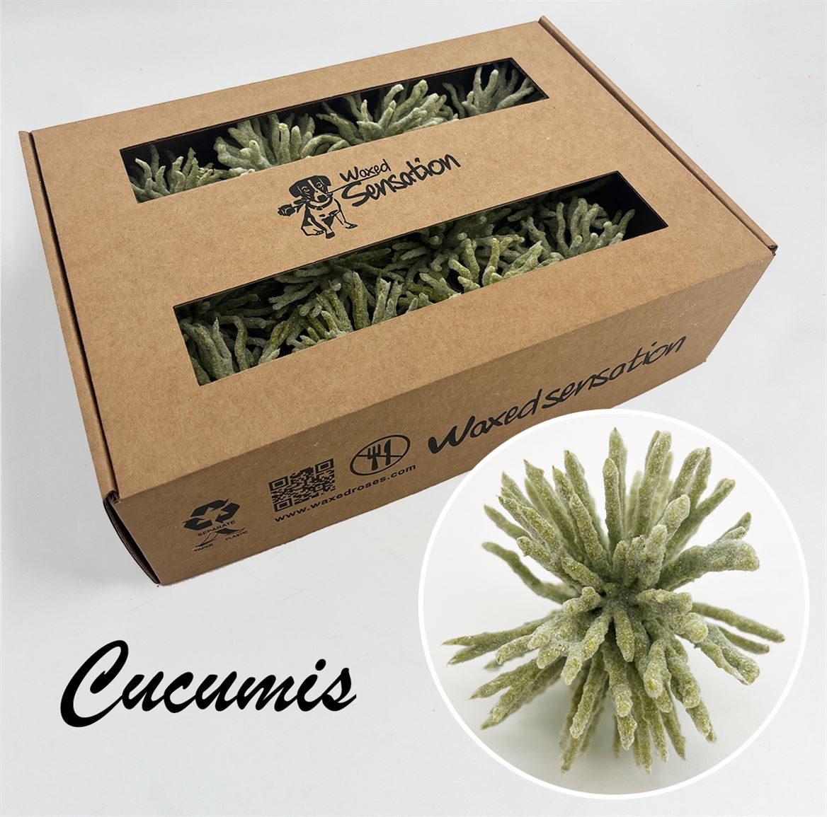 Ov Colrbehandeld 20cm