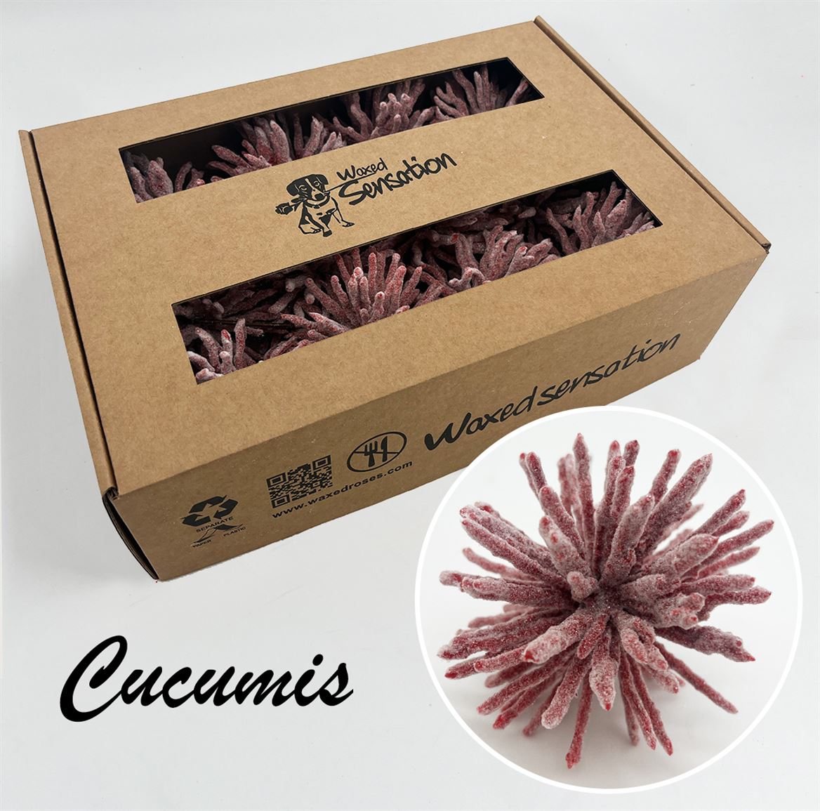 Ov Colrbehandeld 20cm
