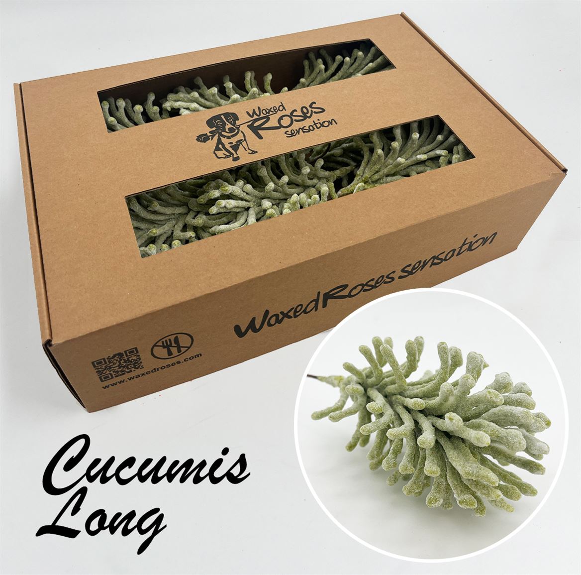 Ov Colrbehandeld 20cm