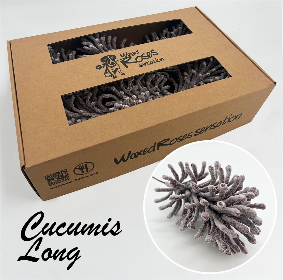 Ov Colrbehandeld 20cm