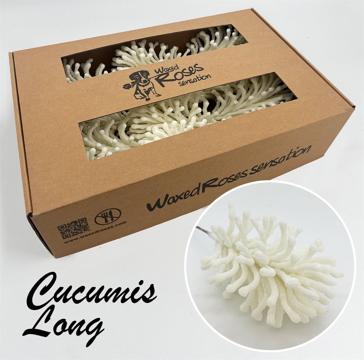 Ov Colrbehandeld 20cm
