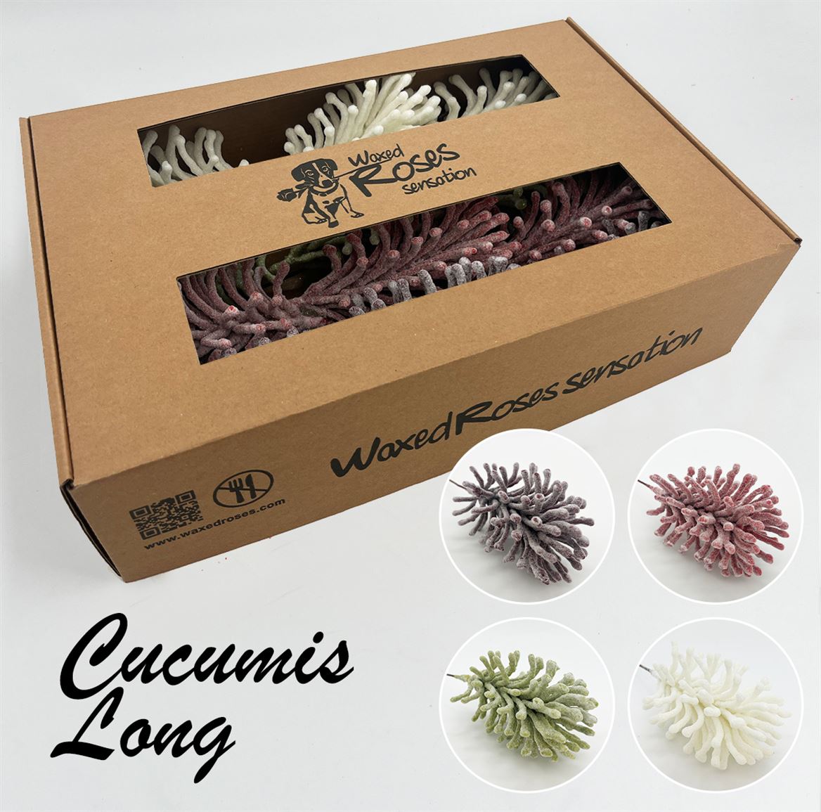 Ov Colrbehandeld 20cm