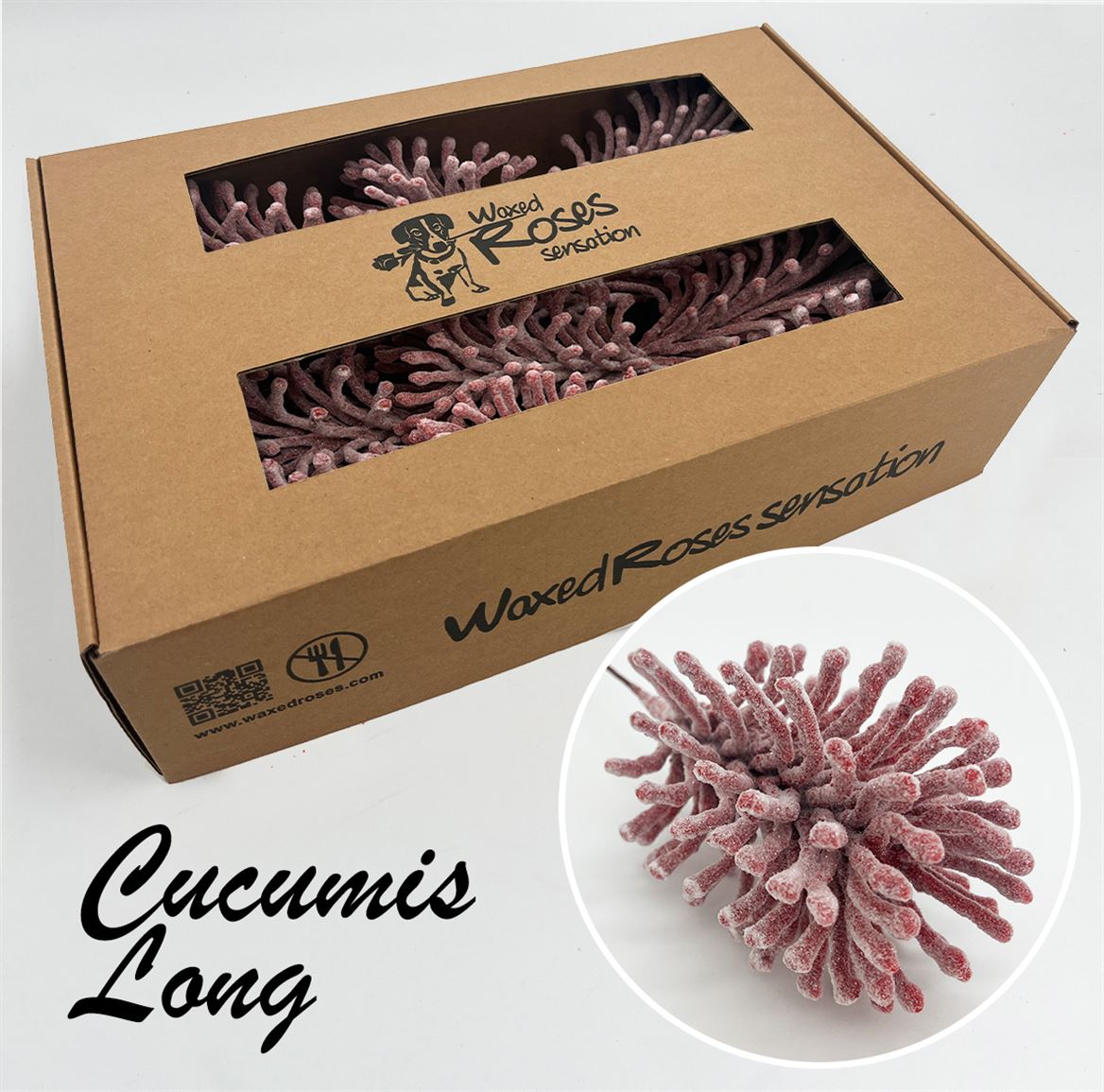 Ov Colrbehandeld 20cm