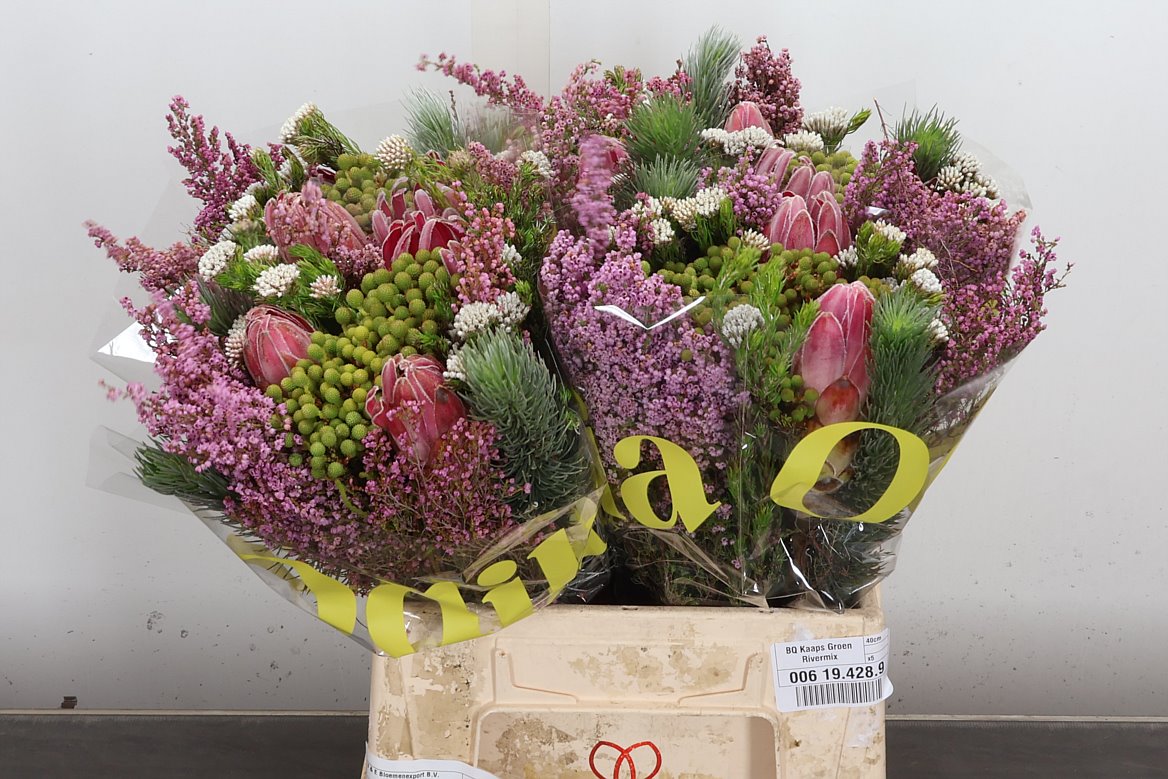 Brunia Cape Mix Bunch 40cm