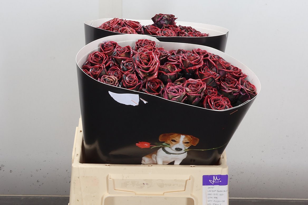 Rosa Waxed 40cm