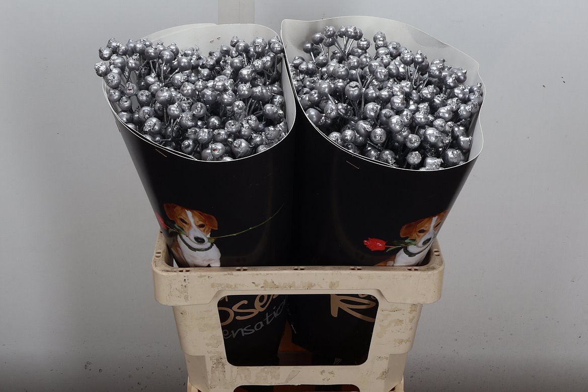 Ov Colrbehandeld 60cm