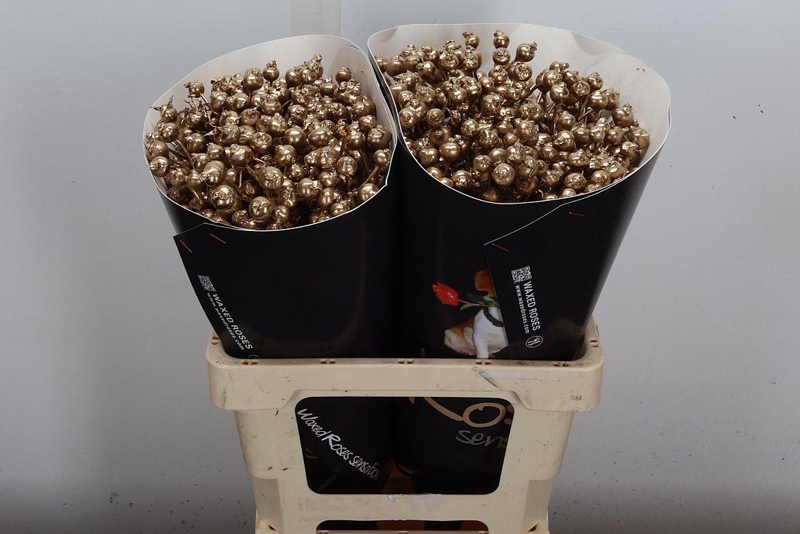 Ov Colrbehandeld 60cm