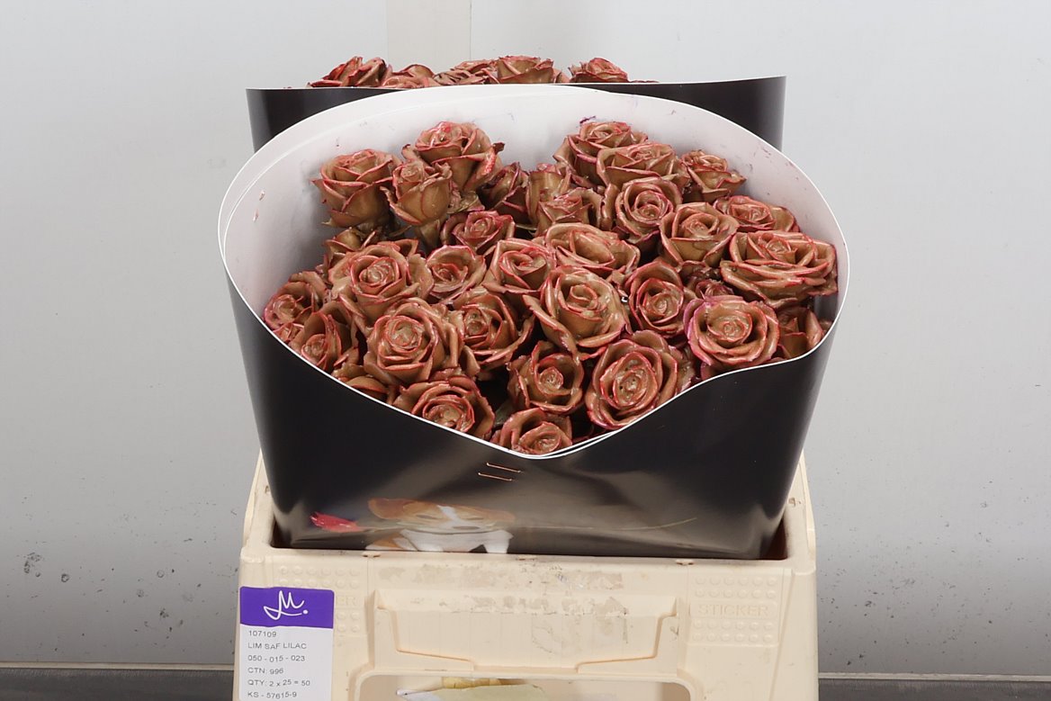 Rosa Waxed 40cm