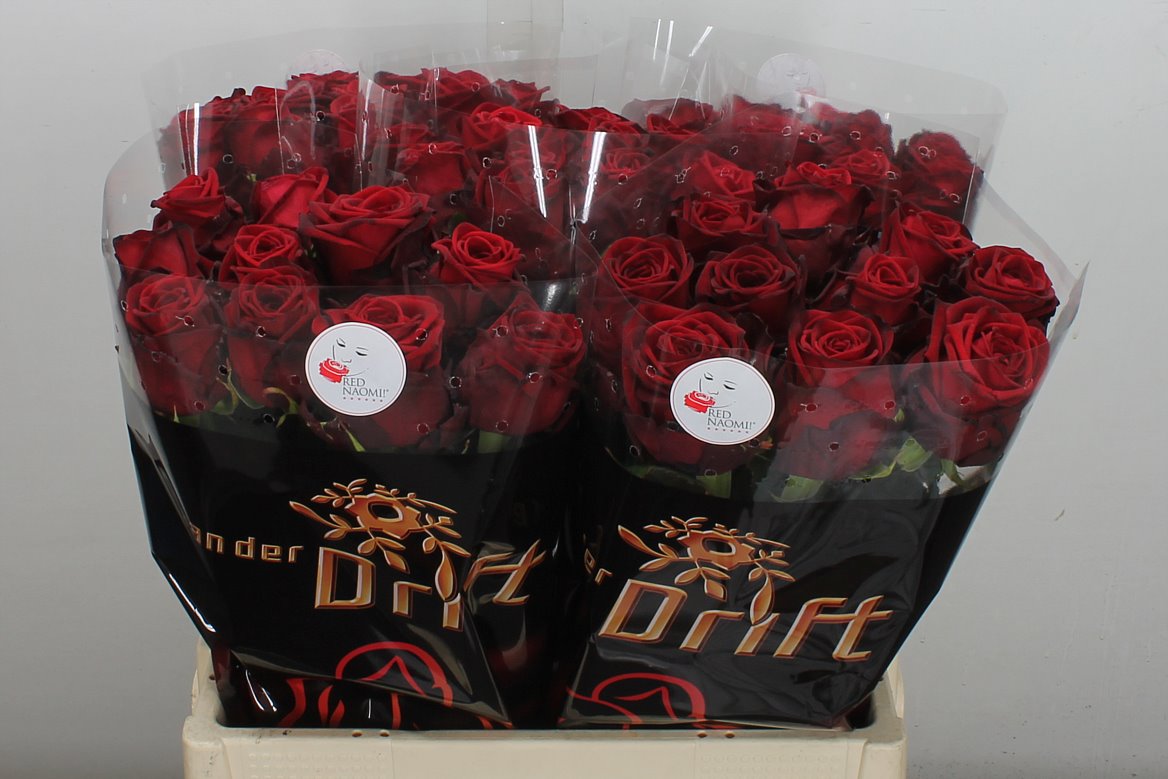 Rosa Red Naomi! 60cm