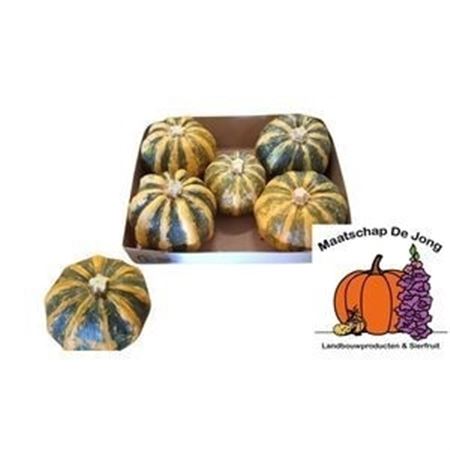 Cucurbita Pepo Kamo Kamo 15cm