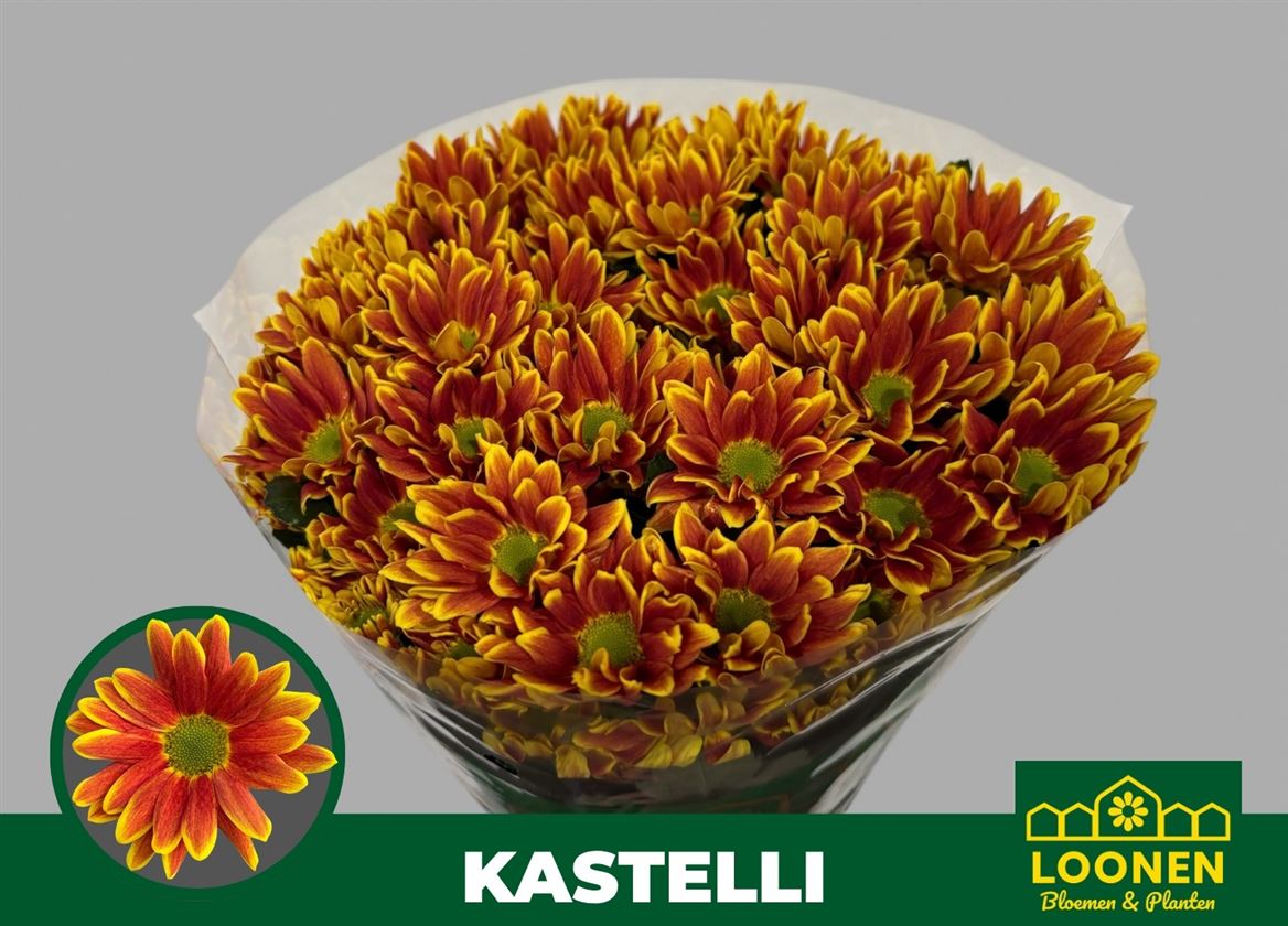 Chrysant T Kastelli 85gram